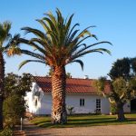 Ferienhaus an der Algarve Casa Ohana